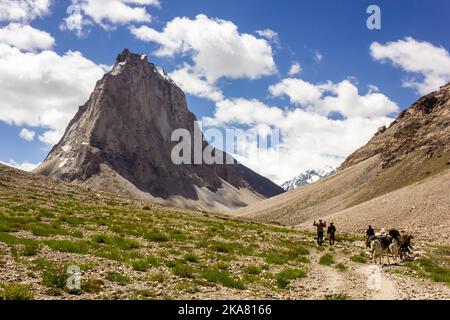 Zanskar, India - 2012 luglio: Escursionisti a piedi con cavalli su un sentiero all'ombra del Monte Gumbok Rangjon sulla Darcha Padum rotta a Zanskar. Foto Stock