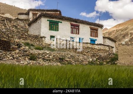 Zanskar, India - 2012 luglio: Case tradizionali in pietra nel villaggio di Kargyak nella regione di Zanskar di Ladakh, nell'Himalaya indiana. Foto Stock