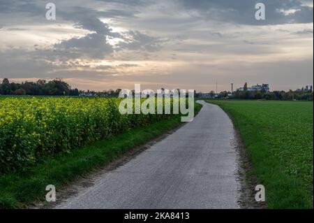 Tramonto paesaggio su una strada deserta attraverso i campi agricoli a Tienen, Fiandre, Belgio Foto Stock