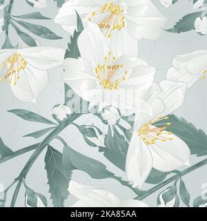 Texture senza cuciture twig fiore gelsomino e boccioli crack vintage vettore illustrazione modificabile disegno a mano Illustrazione Vettoriale