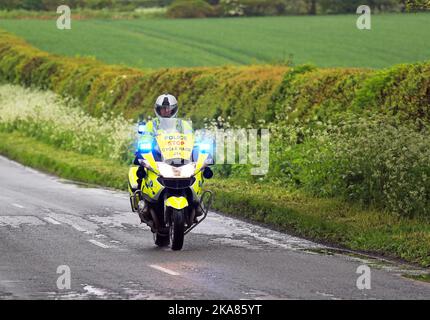 Polizia motociclista andare in emergenza con le luci blu lampeggiante. Servizi di emergenza. Foto Stock