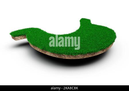 Un'illustrazione 3D di una forma dello stomaco fatta di erba verde e di terreno roccioso Foto Stock