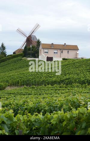 Epernay, Marne, Francia 08 10 2008 vista sulla casa e mulino a vento di Verzenay presso i campi cantina Mumm Champagne Foto Stock