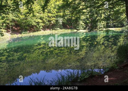 Un bellissimo lago Grza, fiume Grza in Serbia Foto Stock