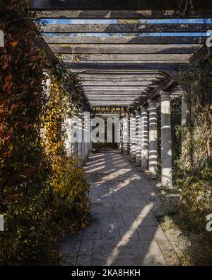 Luce del sole e ombre sul Giardino delle colline e Pergola ad Hampstead in autunno. Foto Stock