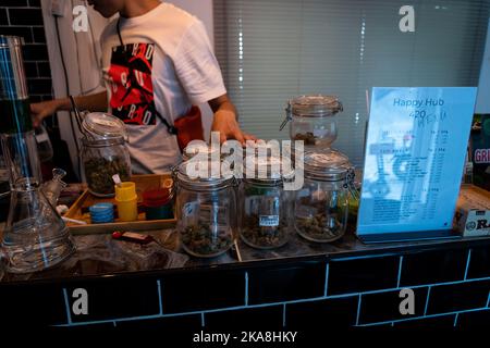 Bangkok, Thailandia. 01 novembre 2022. Un budtender e proprietario di un Happy Hub 420, un piccolo dispensario di cannabis a Bangkok, mostra il suo prodotto insieme a una collezione di bong di vetro. Un budista e proprietario di un piccolo dispensario di cannabis di proprietà locale a Bangkok mostra il suo prodotto insieme a una collezione di bong di vetro. La Thailandia ha depenalizzato la marijuana nel giugno 2022, portando a una corsa verde con varie complicazioni legali e politiche che attualmente si stanno facendo strada attraverso il processo legislativo della Thailandia. Matt Hunt./ Neato Foto Stock