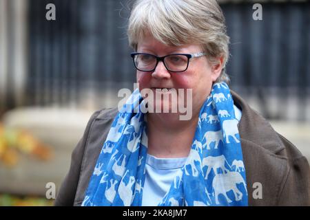 Londra, Regno Unito. 1st Nov 2022. Il Segretario di Stato per l'ambiente, l'alimentazione e gli affari rurali Therese Coffey lascia Downing Street n. 10 dopo la riunione settimanale del Gabinetto. Credit: Uwe Deffner/Alamy Live News Foto Stock