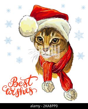 Biglietto di Natale con simpatica testa di gatto abissiniano in cappello di natale, sciarpa. Sfondo invernale con fiocchi di neve. Scritta Auguri. Illustrazione vettoriale Illustrazione Vettoriale