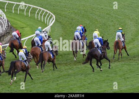 Melbourne, Australia. 01st Nov 2022. I fantini e le persone partecipano al 2nd° giorno del Melbourne Cup Carnival 2022 al Flemington Racing Club Victoria Derby Day di Melbourne. (Foto di Rana Sajid Hussain/Pacific Press) Credit: Pacific Press Media Production Corp./Alamy Live News Foto Stock