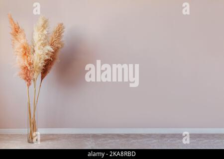 Fiori asciutti e soffici in vaso di vetro su sfondo rosa pastello parete. Foto Stock