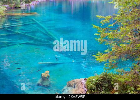 Lago Blausee nelle Highlands Bernesi durante l'inverno, Svizzera Foto Stock