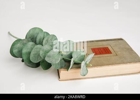 Un libro e ramo di eucalipto isolato su sfondo bianco Foto Stock