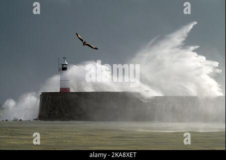 East Sussex, Regno Unito. 01st Nov 2022. Newhaven East Sussex UK 1st Nov 22. Vento forte e mari tempestosi dalla batteria Storm Claudio il faro di Newhaven e il porto nel Sussex orientale UK Credit: MARTIN DALTON/Alamy Live News Foto Stock