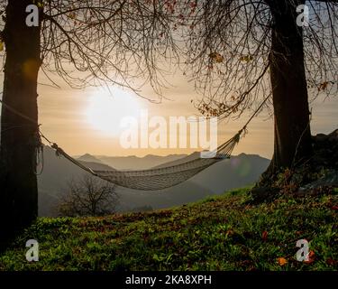 Amaca sospesa tra due alberi al tramonto Foto Stock