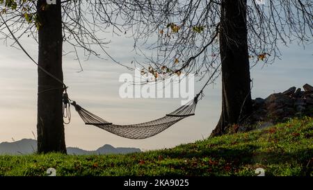 Amaca sospesa tra due alberi al tramonto Foto Stock