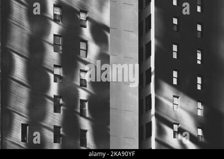 L'astrazione in bianco e nero della luce del sole si riflette sulla facciata di un edificio in mattoni con finestre in carta da parati ombra Foto Stock