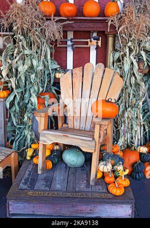 Zucche e squash invernali freschi dal campo in uno stand su strada a Leavenworth, Washington. Foto Stock