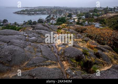 Tempo piovoso di ottobre, Walbran Park, Victoria, British Columbia, Canada; torre di osservazione; torre di osservazione Foto Stock