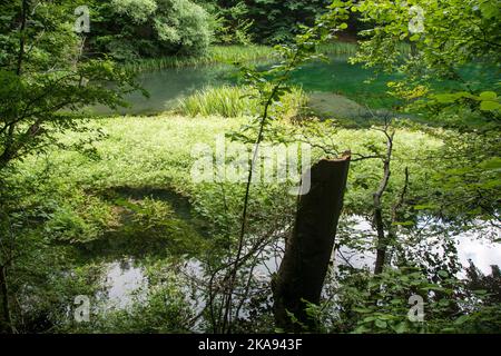 Un bellissimo lago Grza, fiume Grza in Serbia Foto Stock