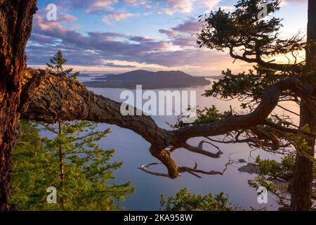 Vista dello stretto di Rosario; vista sulla Baker Preserve, Lummi Island, Washington, USA; Isole San Juan; Cypress Island in lontananza Foto Stock