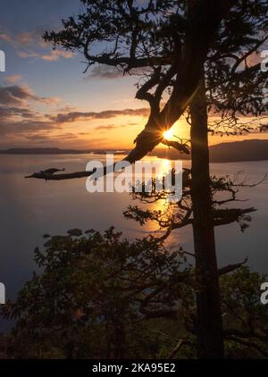 Vista dello stretto di Rosario; vista sulla Baker Preserve, Lummi Island, Washington, USA; Isole San Juan Foto Stock