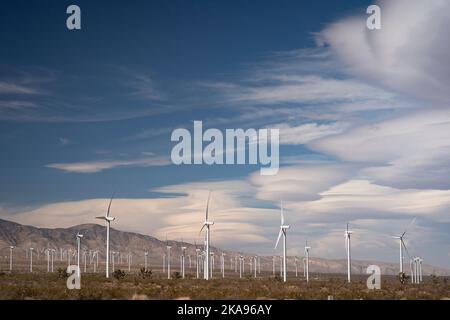 Una fattoria eolica fuori dalla città desertica di Mojave, California Foto Stock