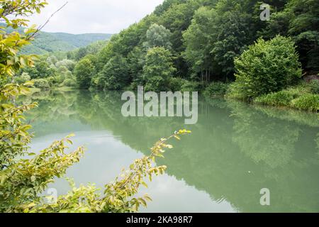 Un bellissimo lago Grza, fiume Grza in Serbia Foto Stock