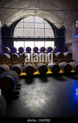 Camminando in profonde e lunghe grotte sotterranee con botti di legno, facendo spumante champagne da uve chardonnay e pinor noir a Epernay, Champag Foto Stock