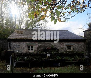 Il vaso, Cowbridge Physical Garden, inizio autunno, 2022. Ottobre. Foto Stock