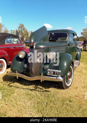 Berlina verde vintage Ford modello 48 V8 Fordor 1936 in campagna. Vista frontale. Griglia. Natura, erba, alberi. Spettacolo di auto classica. Foto Stock