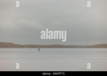 Una boa verde per la navigazione in una giornata di nebbia Foto Stock