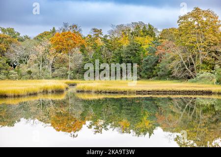 Paesaggio autunnale a Sag Harbor, NY Foto Stock
