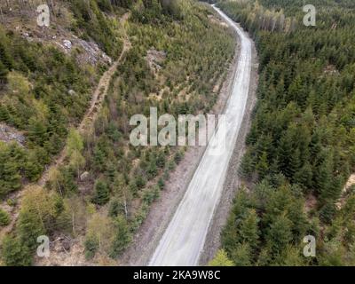 Vista sulla strada sterrata e sulla foresta con alberi diversi. Fotografia aerea, drone scattata dall'alto in Svezia nel mese di maggio. Foto Stock