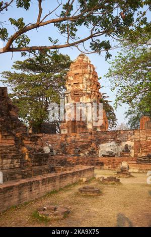 Ayutthaya Tailandia Foto Stock