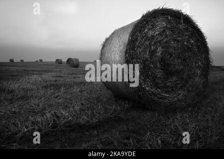 Lunga esposizione, ripresa monocromatica di balle di fieno alla fine dell'estate a Mongeham, Deal, Kent, UK. Foto Stock