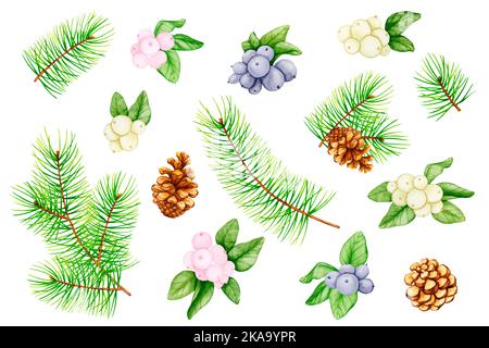 Grande set di elementi botanici per il design di Capodanno e Natale. Rami di pino, coni, bacca di neve, bacche blu. Acquerello illustrazione botanica per Foto Stock