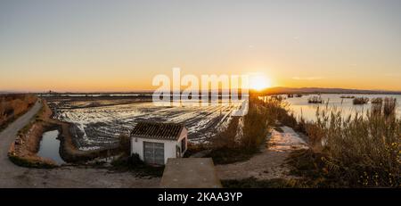 Vista panoramica delle risaie allagate tra le strade sterrate al tramonto nel parco naturale Albufera a Valencia, Spagna. Concetto di agricoltura Foto Stock