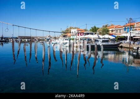Polpo appeso ad asciugare al sole sul porto Molyvos sull'isola greca di Lesvos Grecia Foto Stock
