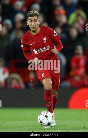 Liverpool, Regno Unito. 01st Nov 2022. Roberto Firmino di Liverpool in azione. UEFA Champions League, gruppo A match, Liverpool / Napoli all'Anfield Stadium di Liverpool martedì 1st novembre 2022. Questa immagine può essere utilizzata solo per scopi editoriali. Solo per uso editoriale, licenza richiesta per uso commerciale. Nessun utilizzo nelle scommesse, nei giochi o nelle pubblicazioni di un singolo club/campionato/giocatore. pic di Chris Stading/Andrew Orchard SPORTS photography/Alamy Live news Credit: Andrew Orchard SPORTS photography/Alamy Live News Foto Stock