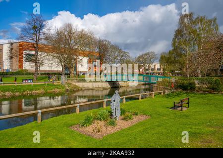 Giardini sulle rive del fiume Can, Chelmsford, Essex Foto Stock