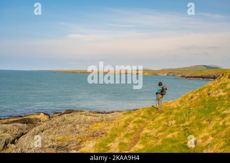 Walker sulle scogliere sulla costa tra Porthor e Porth Iago sulla penisola di Llyn Galles settentrionale Foto Stock