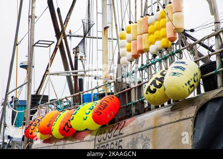 Galleggianti e galleggianti da pesca colorati. Barche da pesca commerciali e charter nel porto di Kodiak, Alaska, USA. Foto Stock