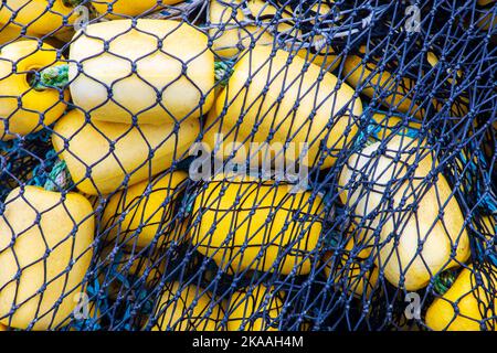 Galleggianti e galleggianti da pesca colorati. Barche da pesca commerciali e charter nel porto di Kodiak, Alaska, USA. Foto Stock