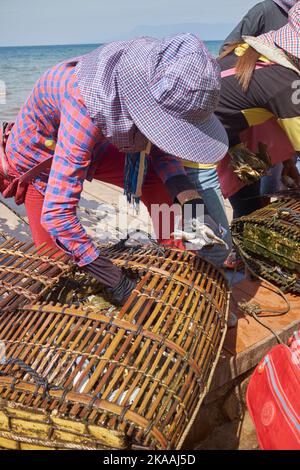 Villaggio di pescatori di Kampot, Cambogia Foto Stock