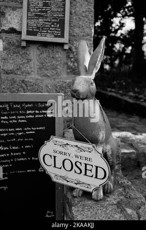 Un coniglio di Alice nel paese delle meraviglie ha un cartello con scritto Spiacenti sono stati chiusi di fronte ad un negozio di Rockport, Massachusetts. L'immagine è stata catturata su analogico b Foto Stock