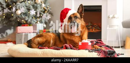 Carino cane Pastore tedesco a Santa Hat e con regalo a casa la vigilia di Natale Foto Stock