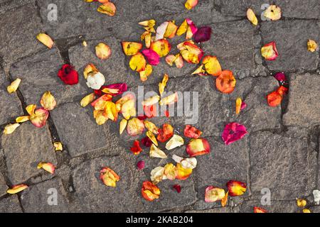 fiori di fiori che giacciono a terra dopo una cerimonia nuziale Foto Stock
