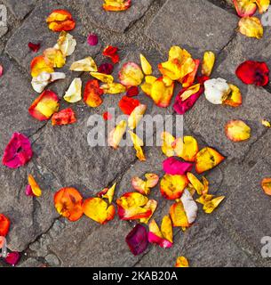 fiori di fiori che giacciono a terra dopo una cerimonia nuziale Foto Stock