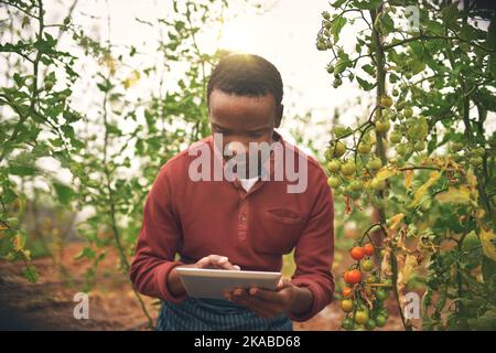 Usando tecnologia per gestire il suo farm. Un coltivatore maschio giovane bello usando una compressa mentre controlla i suoi raccolti. Foto Stock