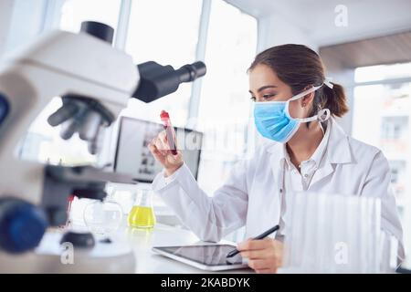 Penso che Ill inizi con questo vile. Una giovane scienziata focalizzata che indossa una maschera chirurgica e tiene un vile di sangue all'interno di un laboratorio. Foto Stock